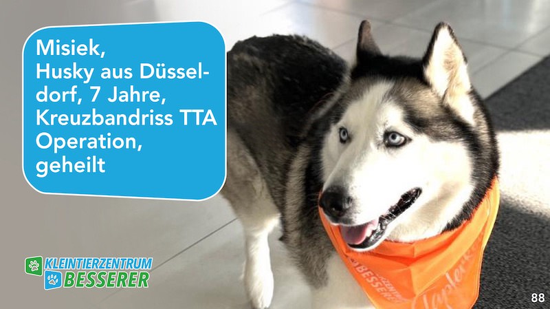 Tierarzt-Besserer_Slide_88_Misiek_KW28.25