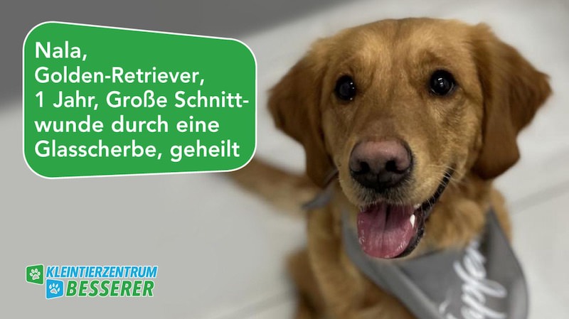 Tierarzt-Besserer_Slide_8_Nala_KW12.25