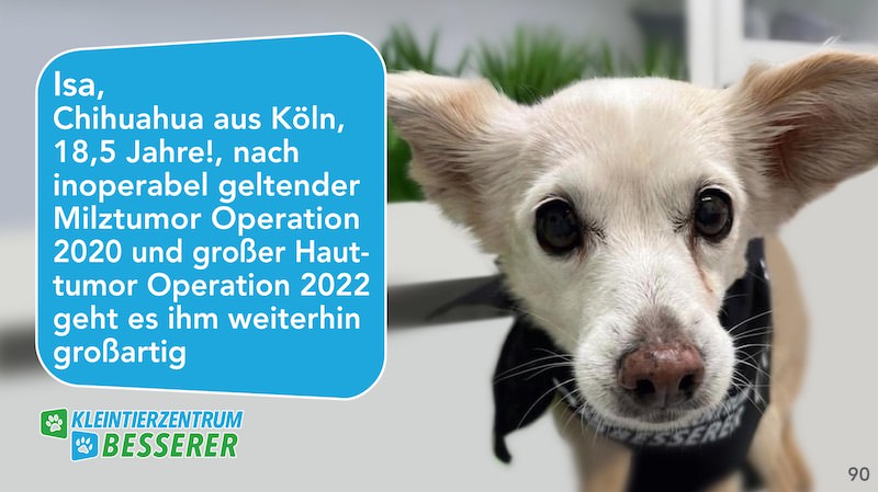 Tierarzt-Besserer_Slide_90_Isa_KW28.25