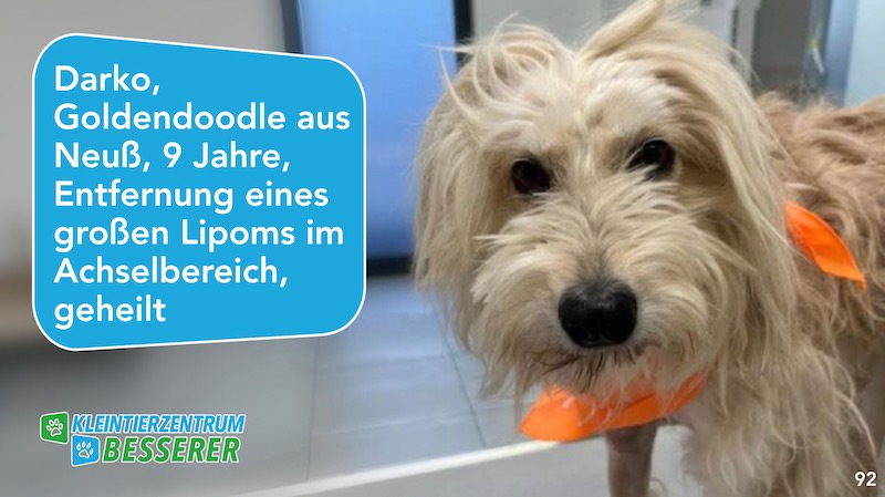 Tierarzt-Besserer_Slide_92_Darko_KW28.25