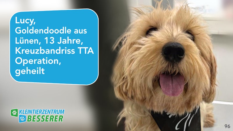 Tierarzt-Besserer_Slide_96_Lucy_KW28.25