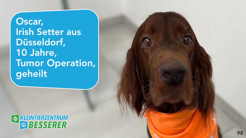 Tierarzt-Besserer_Slide_98_Oscar_KW28.25