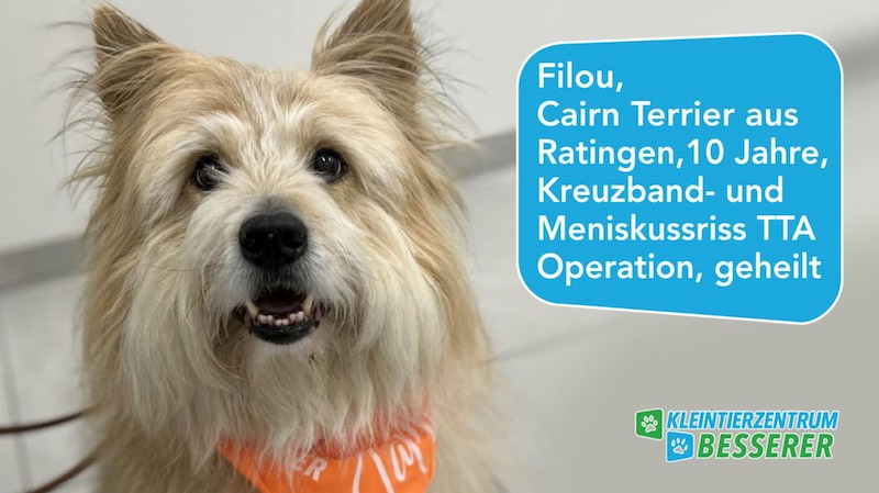 Tierarzt-Besserer_Slide_9_Filou_KW12.25